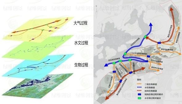 廊道叠加分析及生态廊道格局图